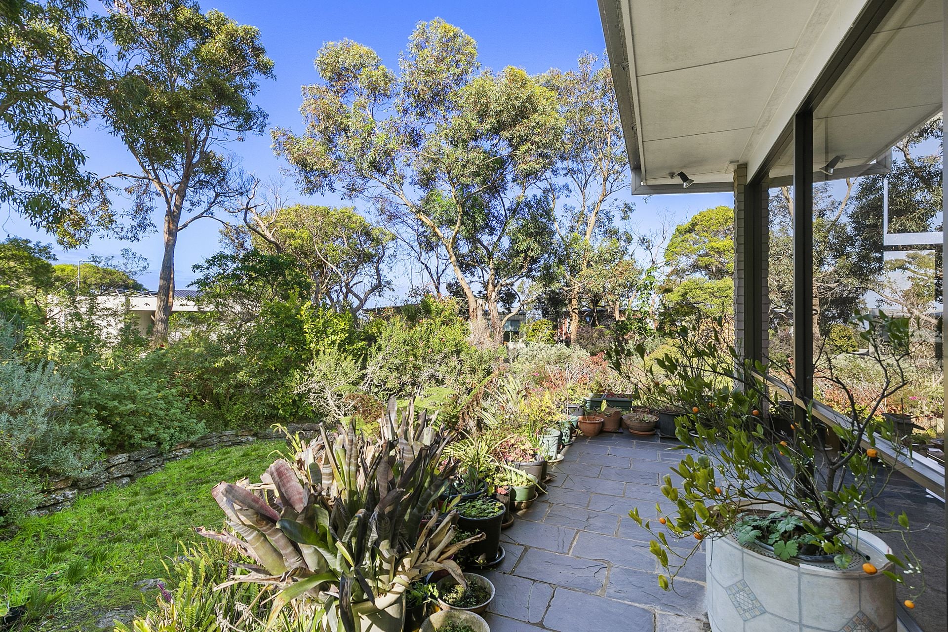8 Second Avenue, Anglesea - Thumbnail 2