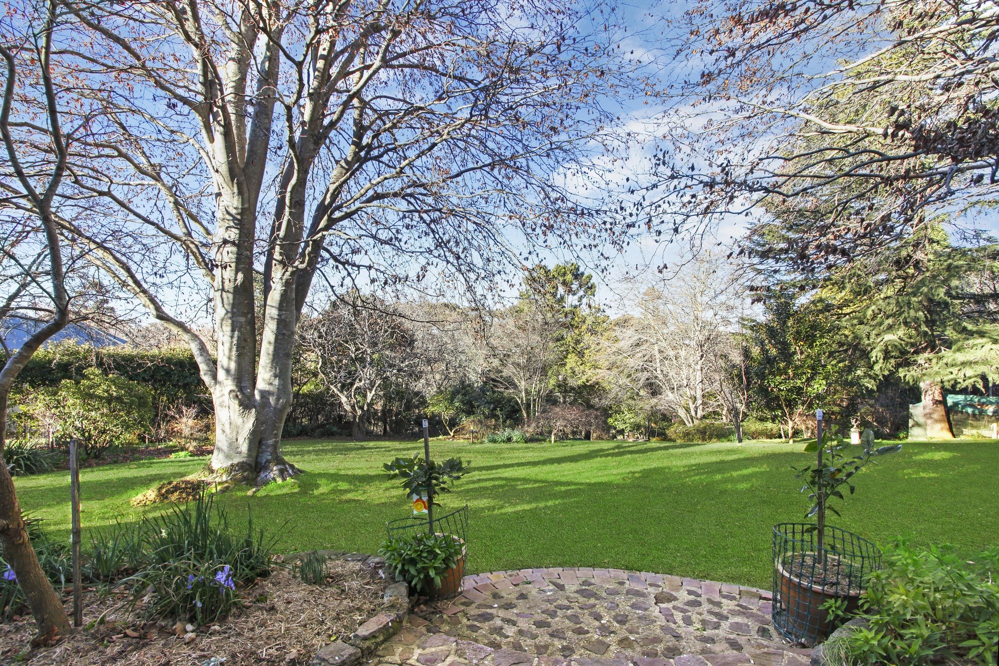 77 Blaxland Road Wentworth Falls 2782