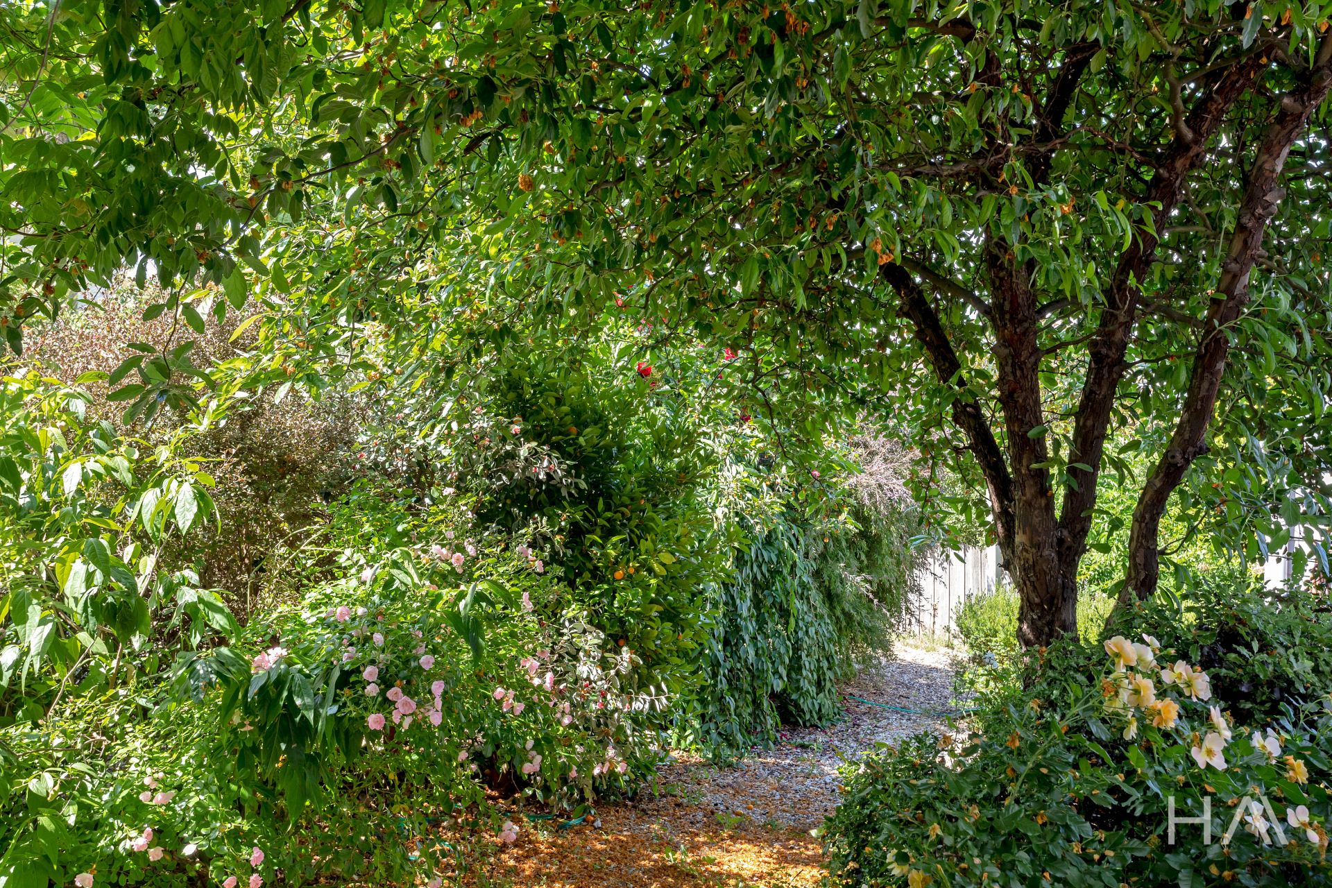 12 Howell Street, West Launceston Harrison Agents