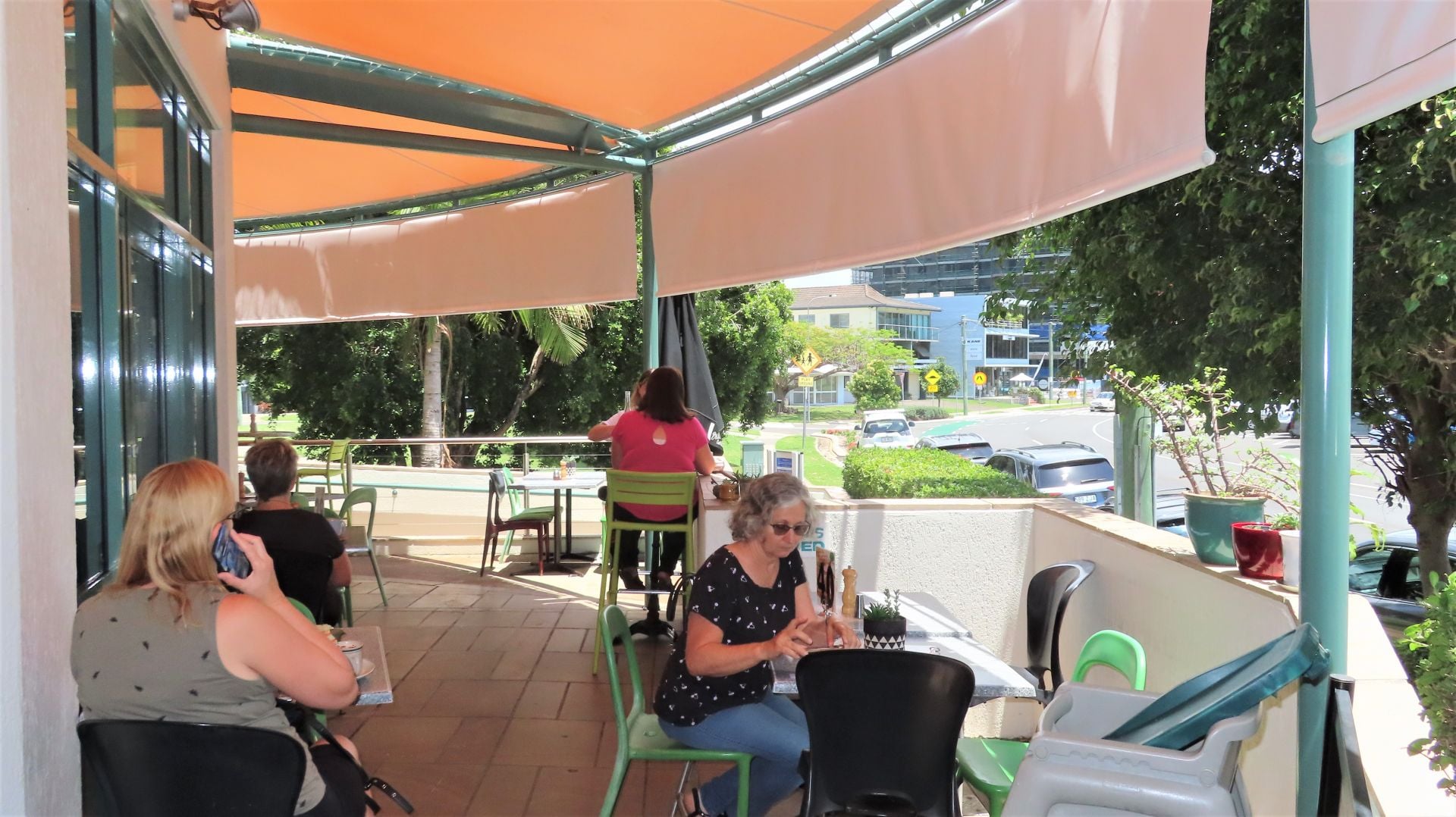 Cotton Tree, Cotton Tree - Thumbnail 6