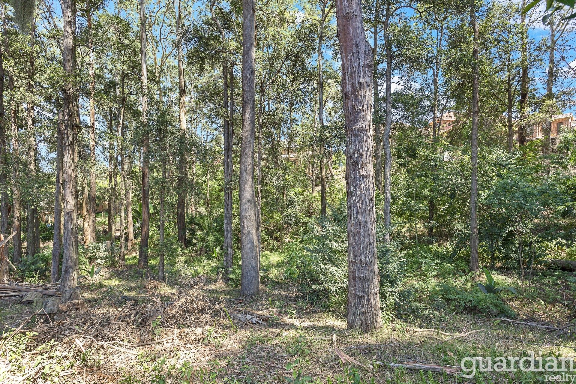 8 Craigton Place Glenhaven NSW, Glenhaven - Thumbnail 6