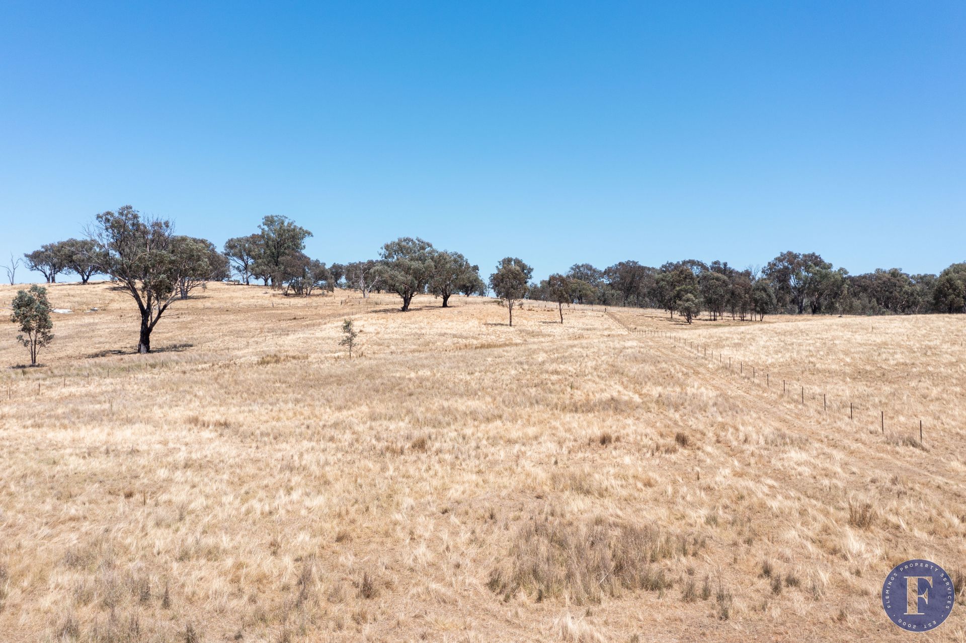 Lot 2/1057 Frogmore Road, Boorowa NSW, Boorowa - Thumbnail 7