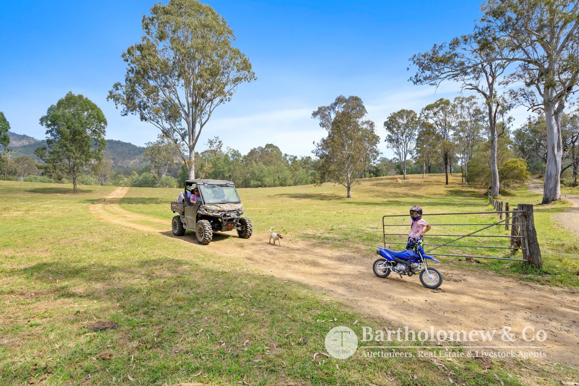 Upper Allan Creek Road Bromelton QLD, Bromelton - Thumbnail 4