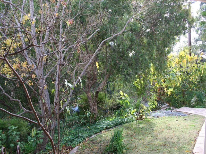 14 Elm Road Campbelltown 5074