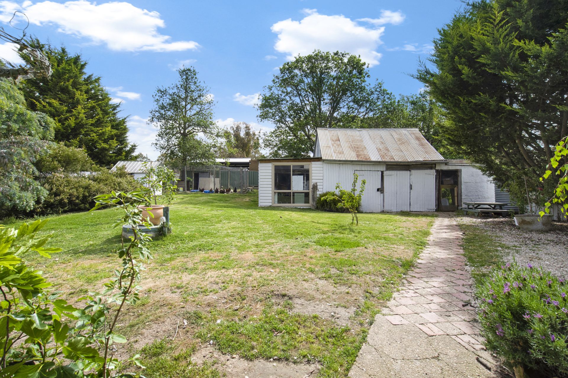 66 Williamson Street, Lexton, Lexton, Lexton - Thumbnail 2