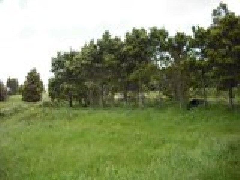 22 Main Road BEECH FOREST VIC, Beech Forest - Thumbnail 6