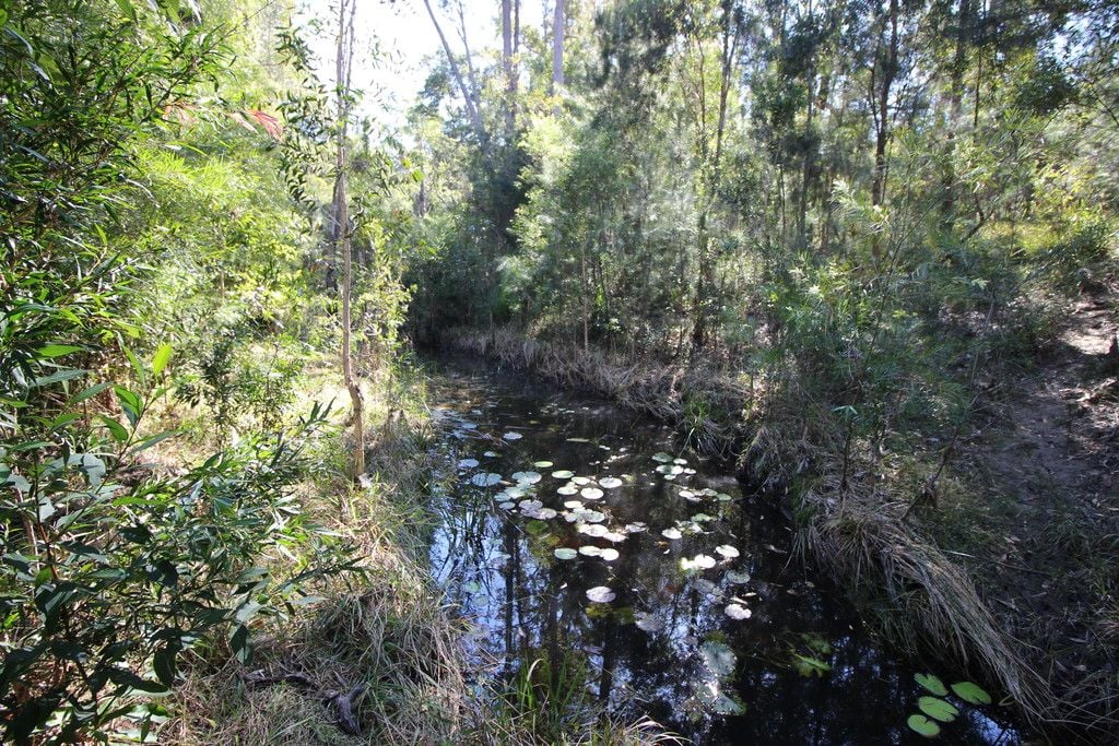 114 Crowther Drive, KUNDABUNG NSW 2441