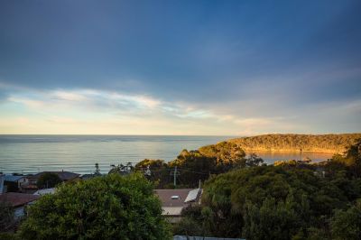 A Veritable Panorama