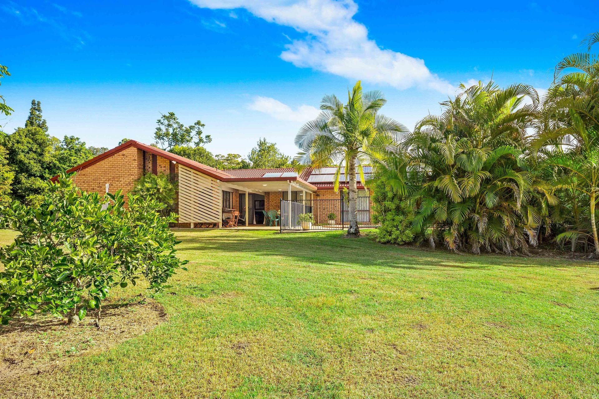 11 Tecoma Road Palmwoods QLD, Palmwoods - Thumbnail 4
