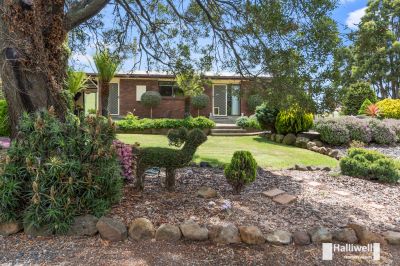 3
 
 
 
  
 
 
 2
 
 
 
  
 
 
 6
 
 
 
 
 
 
 
 47 Morris Road, Melrose TAS 7310, Melrose - Thumbnail 3