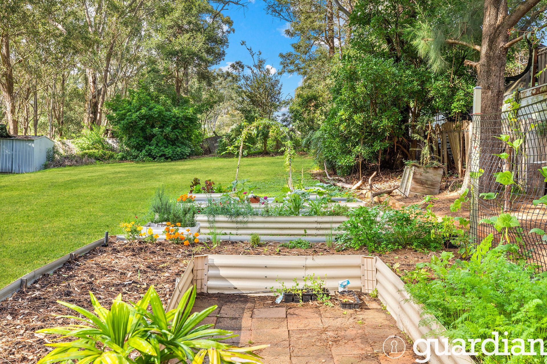 82 Edward Street, Riverstone Guardian Realty