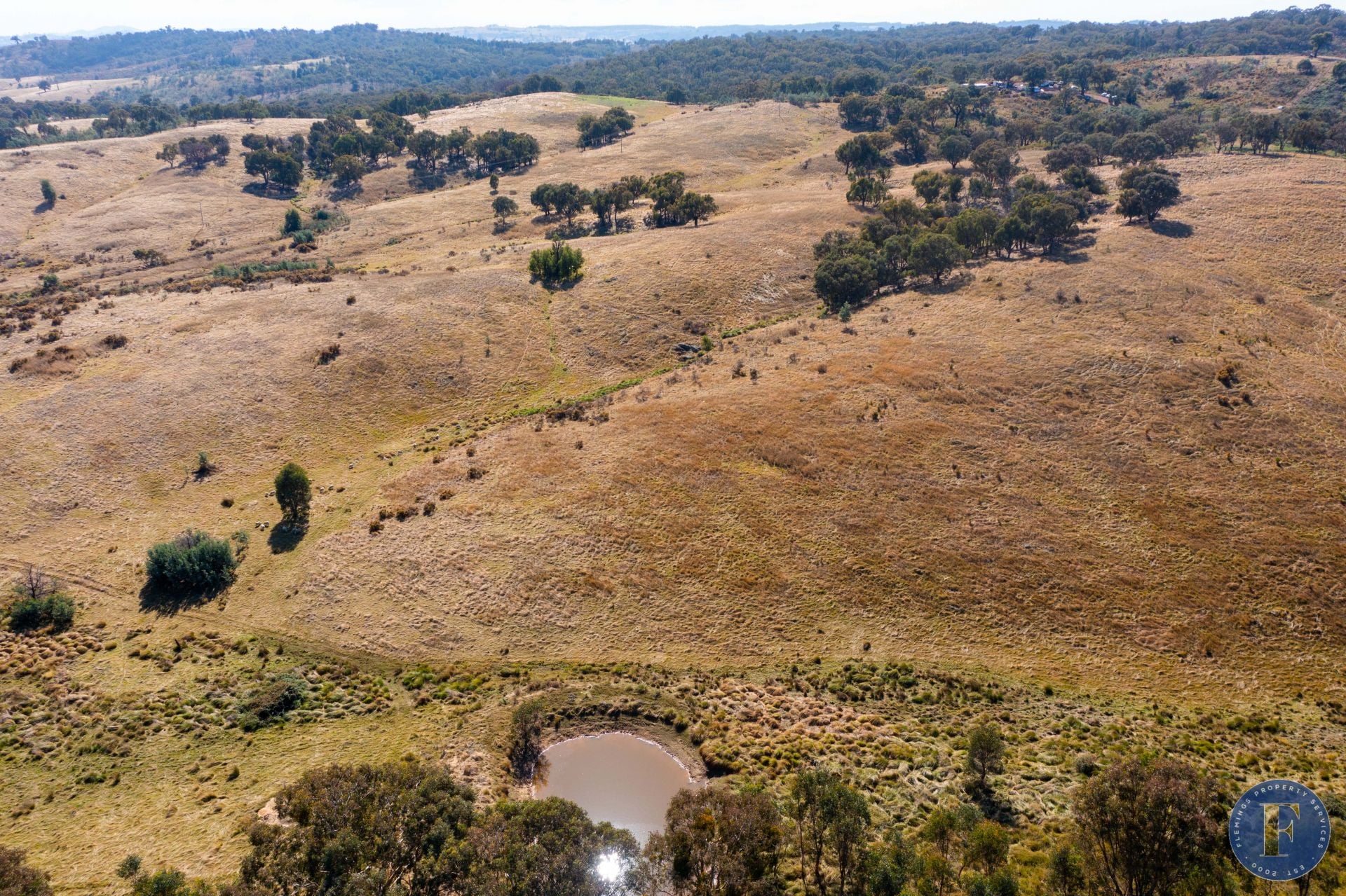12 Taylors Flat Road, Frogmore NSW, Frogmore - Thumbnail 2
