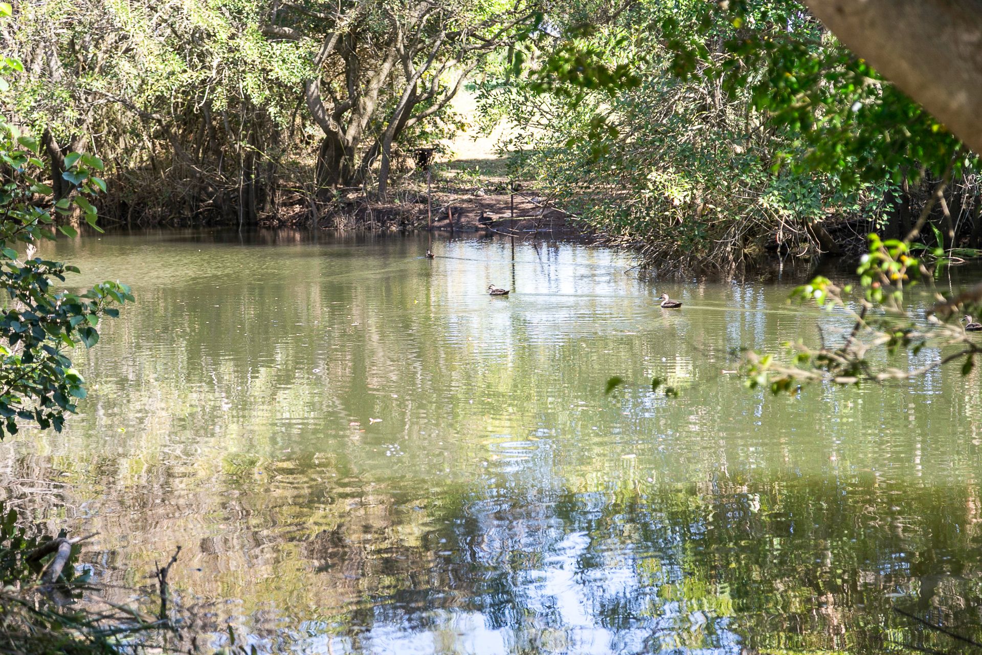 2 Creek Street, Woodburn NSW 2472