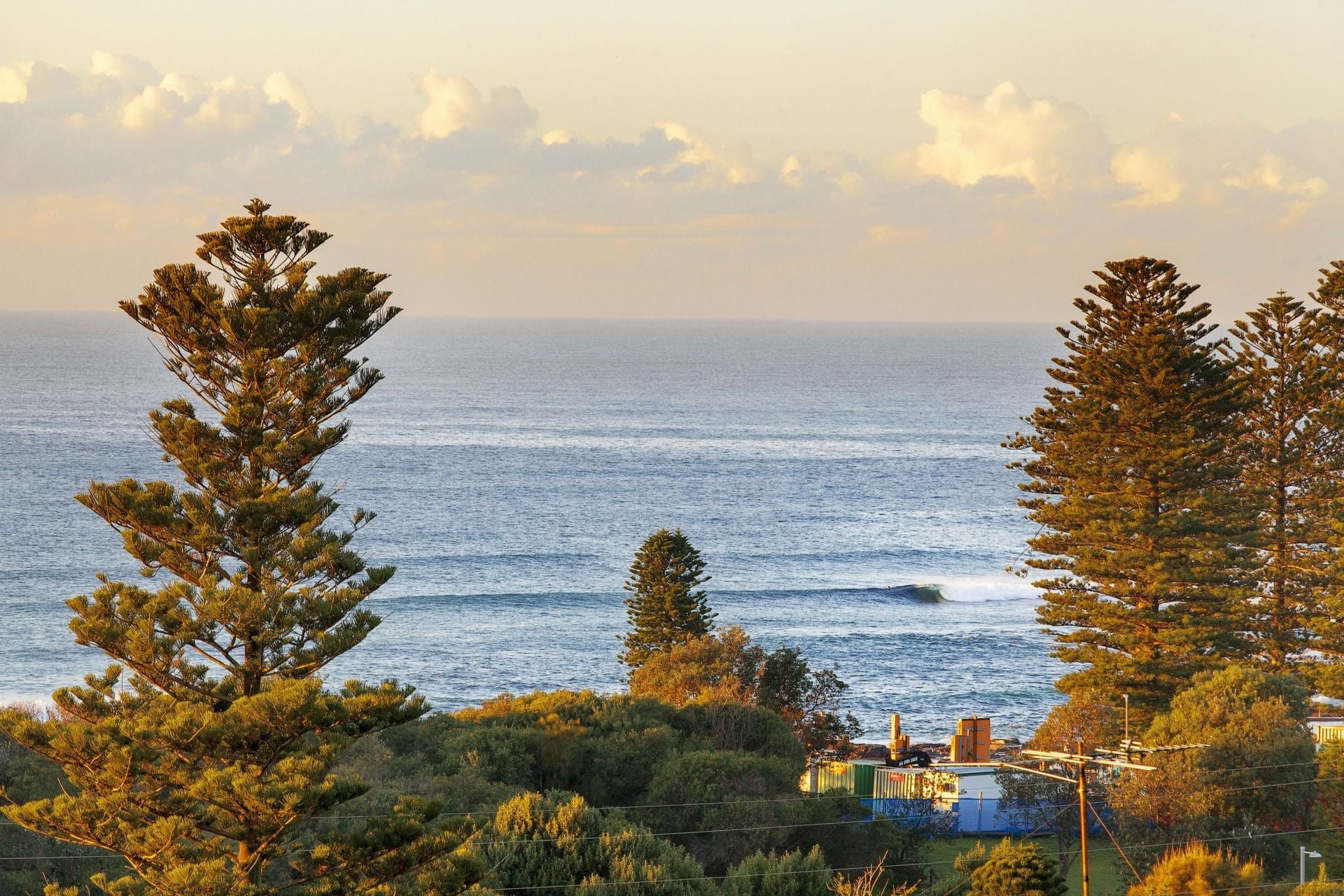 7 Park Avenue Avalon NSW, Avalon - Thumbnail 5