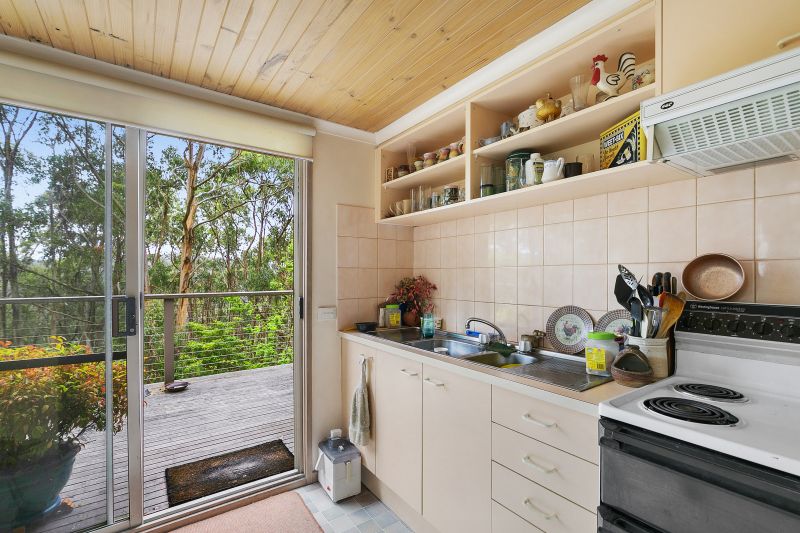 1855 Deans Marsh-Lorne Road, Lorne, VIC, Lorne - Thumbnail 5