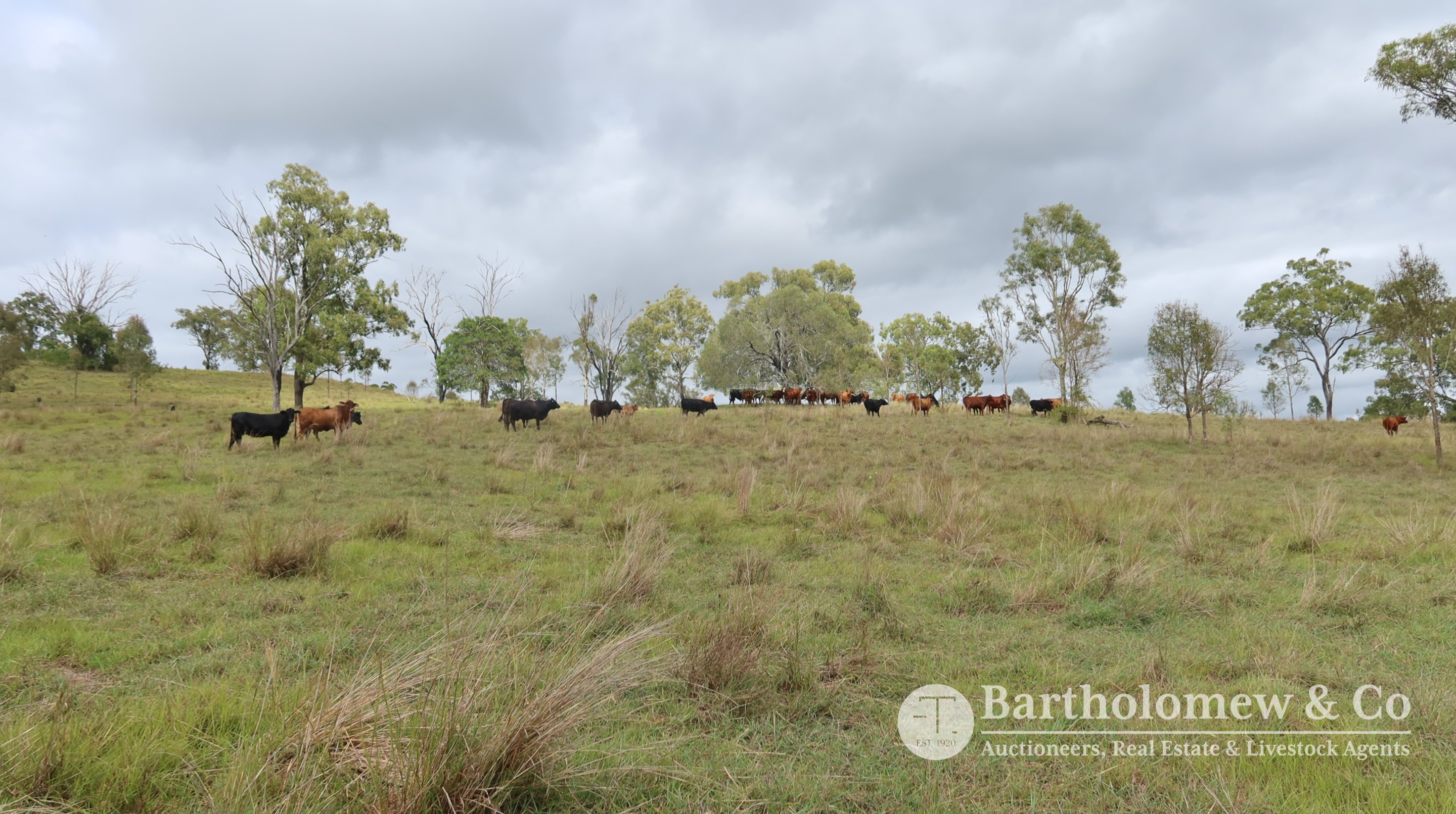 Real Estate For Sale 8225 Mt Lindesay Highway Josephville , QLD