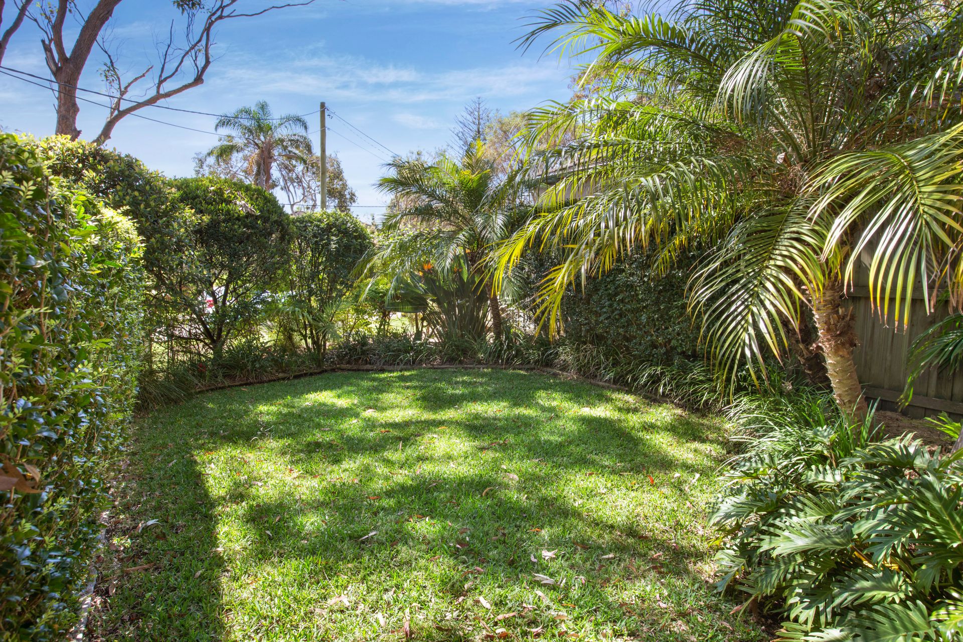 9 Trevor Road Newport NSW, Newport - Thumbnail 6