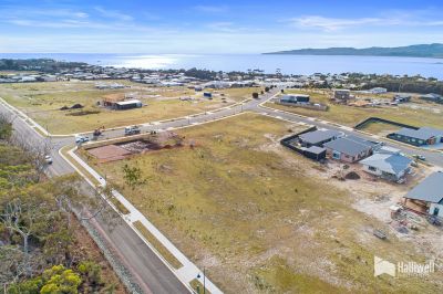 14 Bushland Avenue, Hawley Beach, Hawley Beach - Thumbnail 3