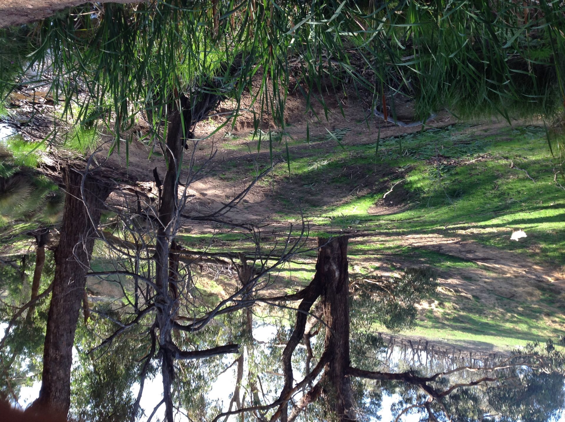90 Colandal Lane, Rye Park NSW, Rye Park - Thumbnail 7
