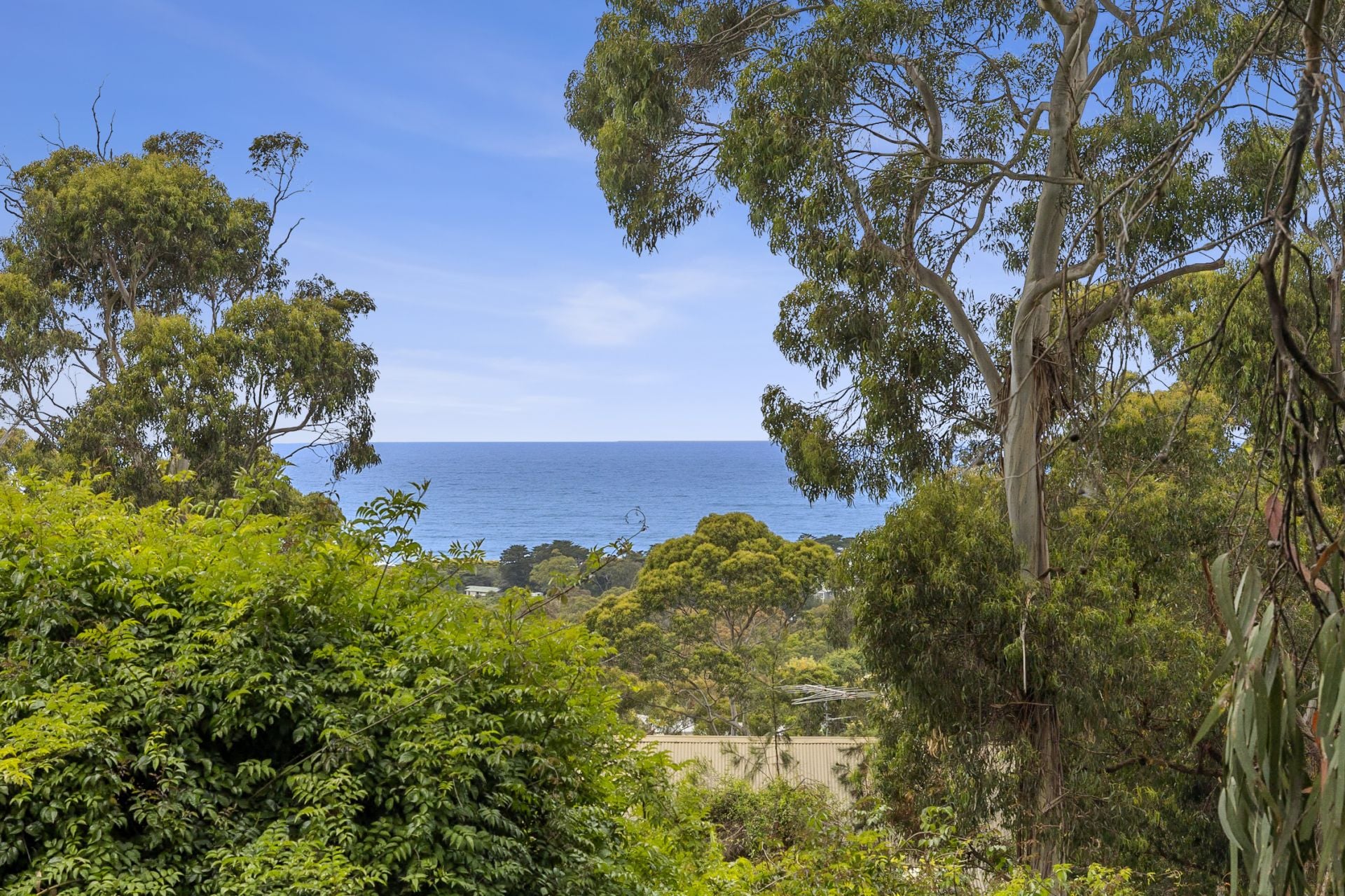 45 Richardson Boulevard, Lorne - Thumbnail 4
