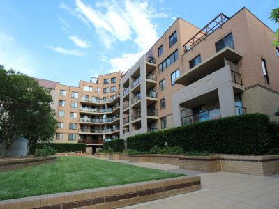 Brand new timber floor