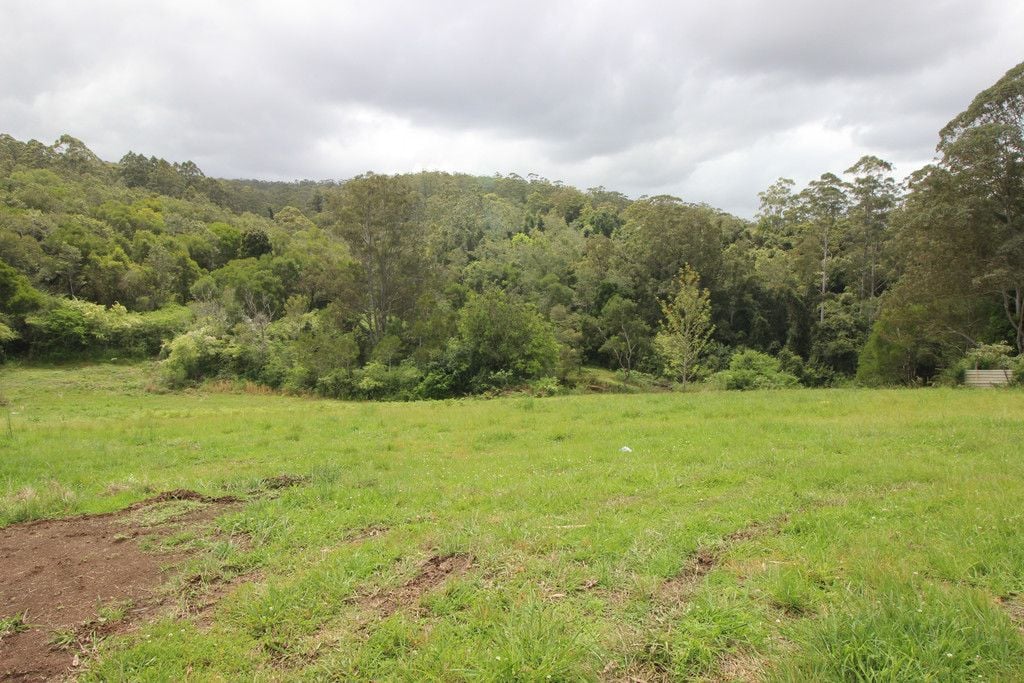 210 North Branch Rd, UPSALLS CREEK NSW 2439