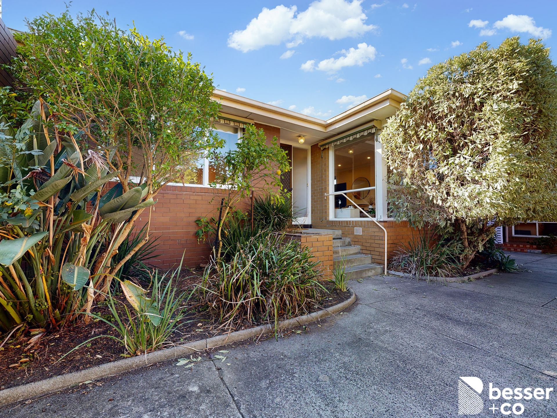 3/37 Northcote Avenue, Caulfield North - Thumbnail 2