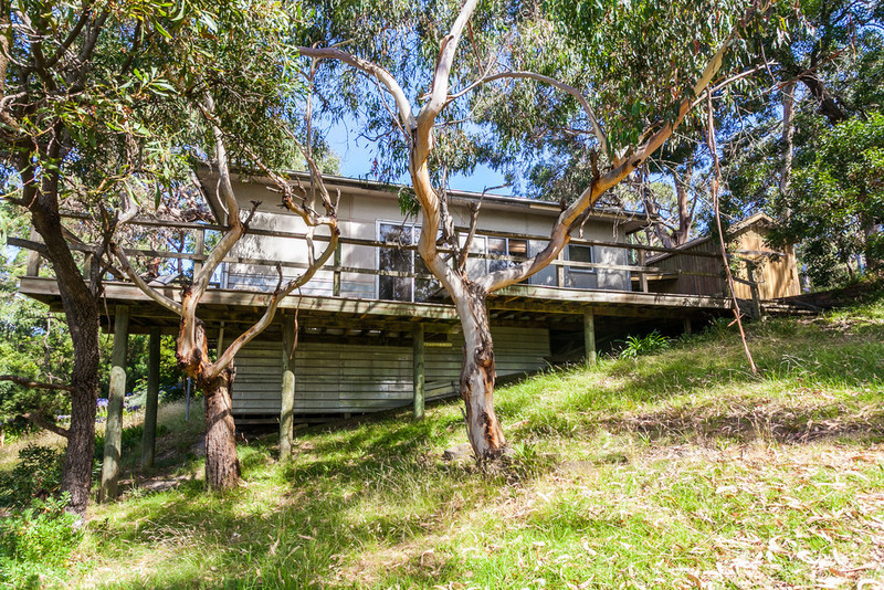 71 George Street, Lorne, VIC, Lorne - Thumbnail 8