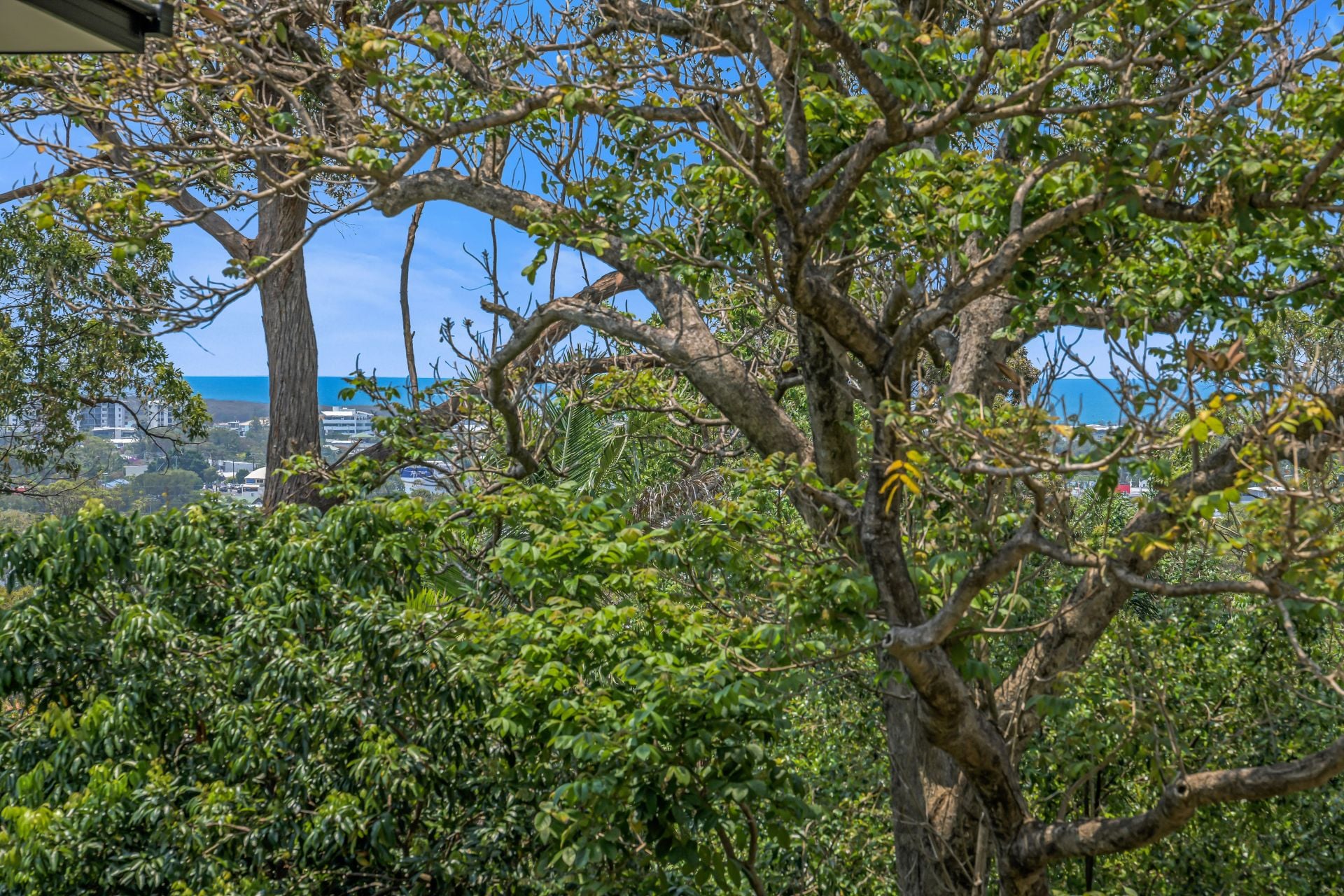 307 Mooloolaba Road Buderim QLD, Buderim - Thumbnail 3
