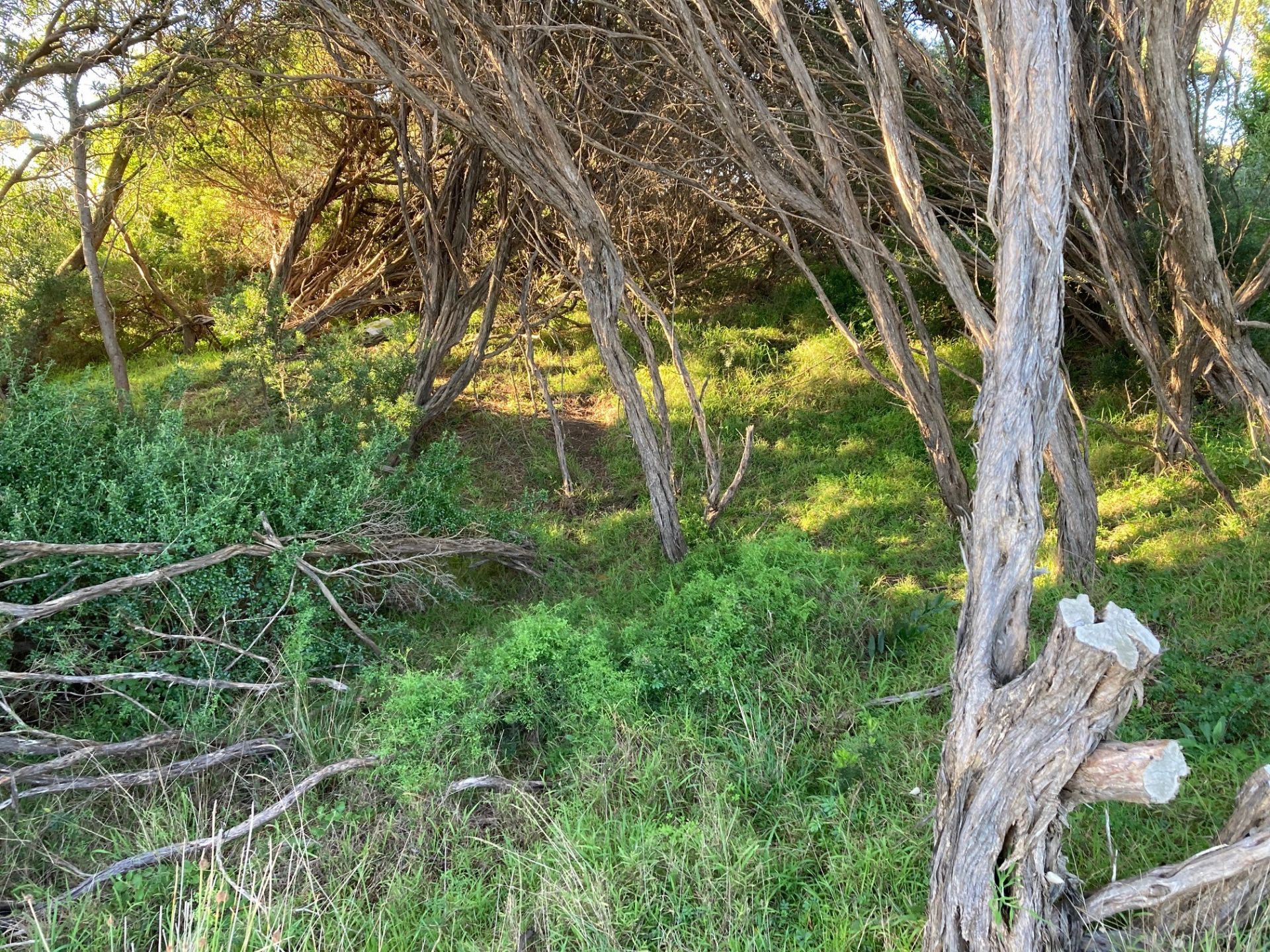 6 Juno Road, Venus Bay PBE Real Estate