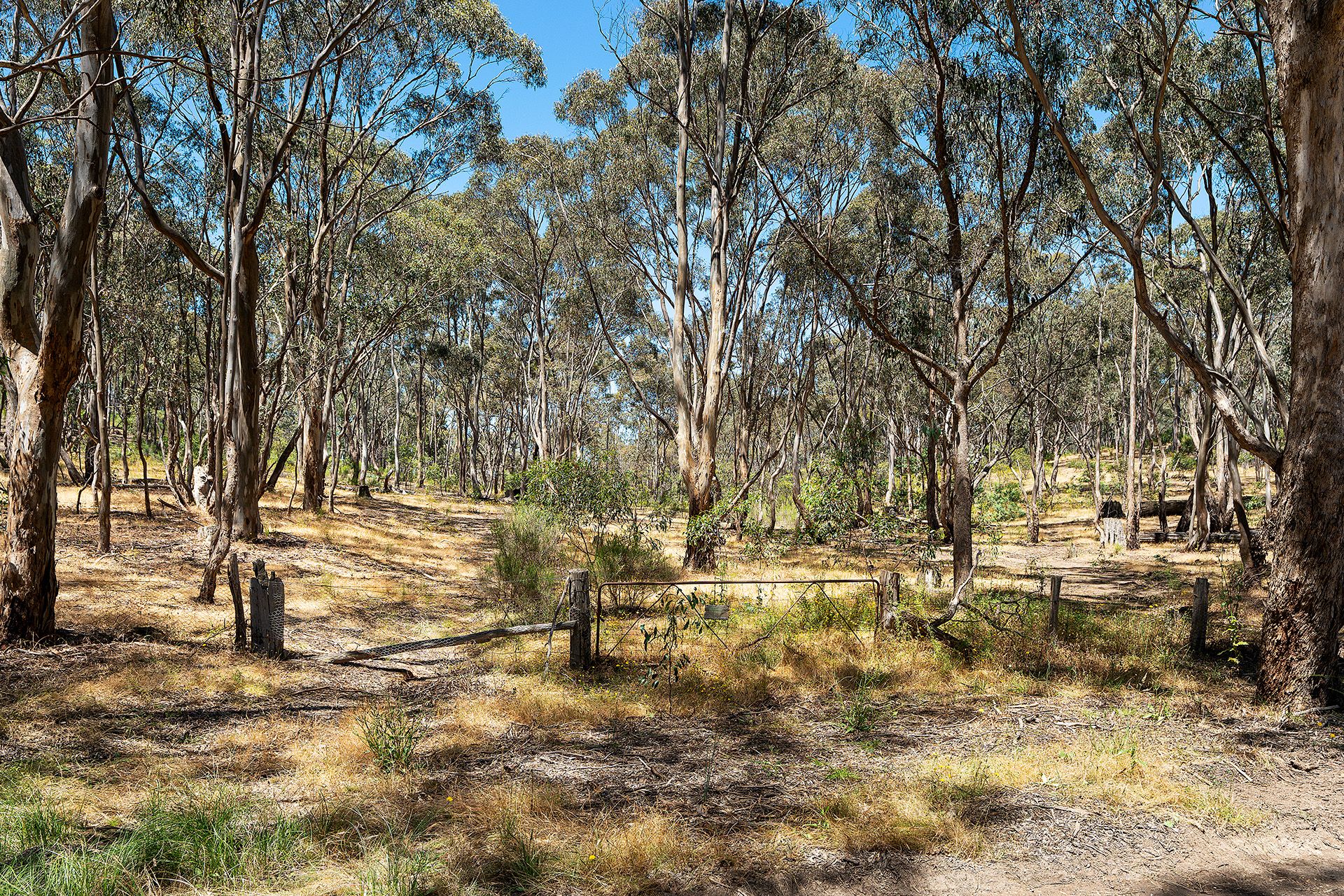 480 Boundary Gully Road Yandoit Hills, Yandoit Hills - Thumbnail 4