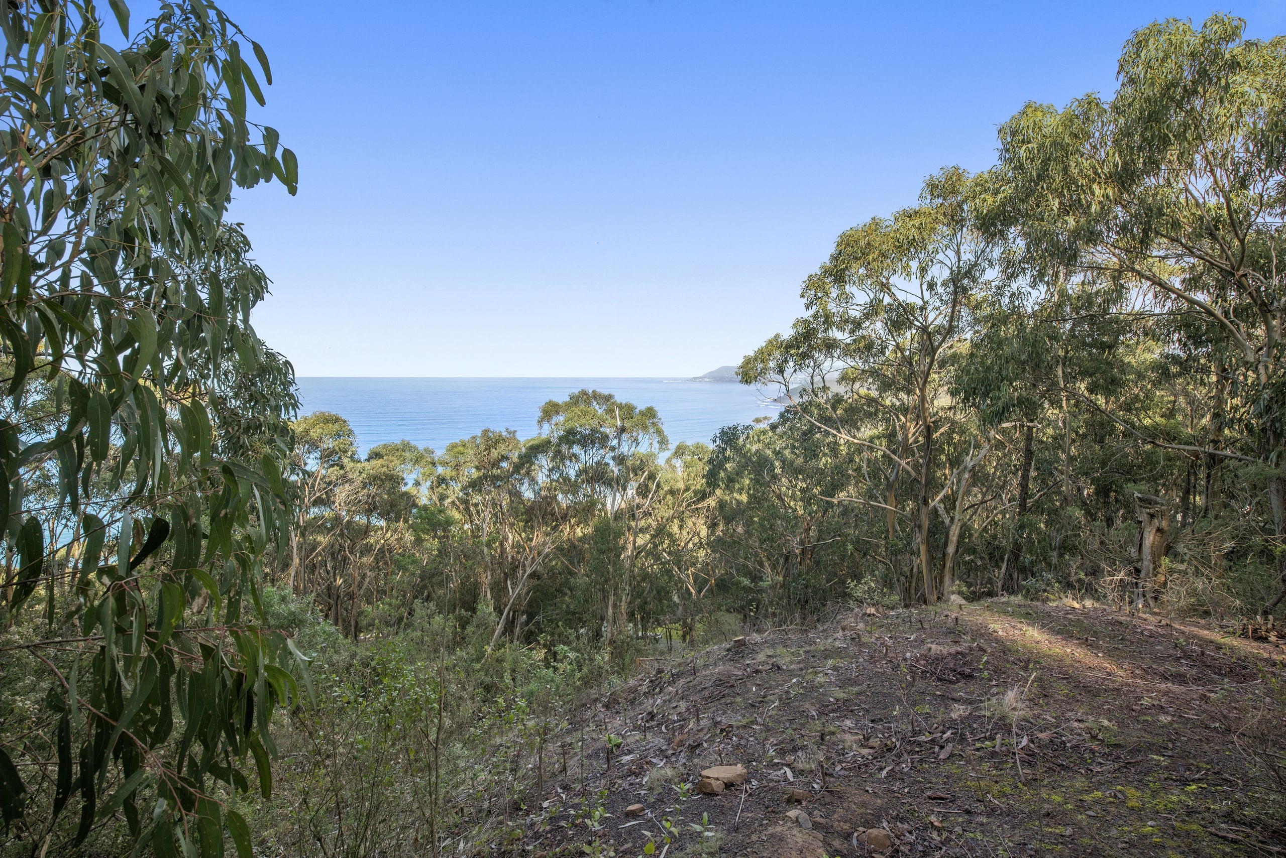 1188 Great Ocean Road BIG HILL VIC, Big Hill - Thumbnail 4