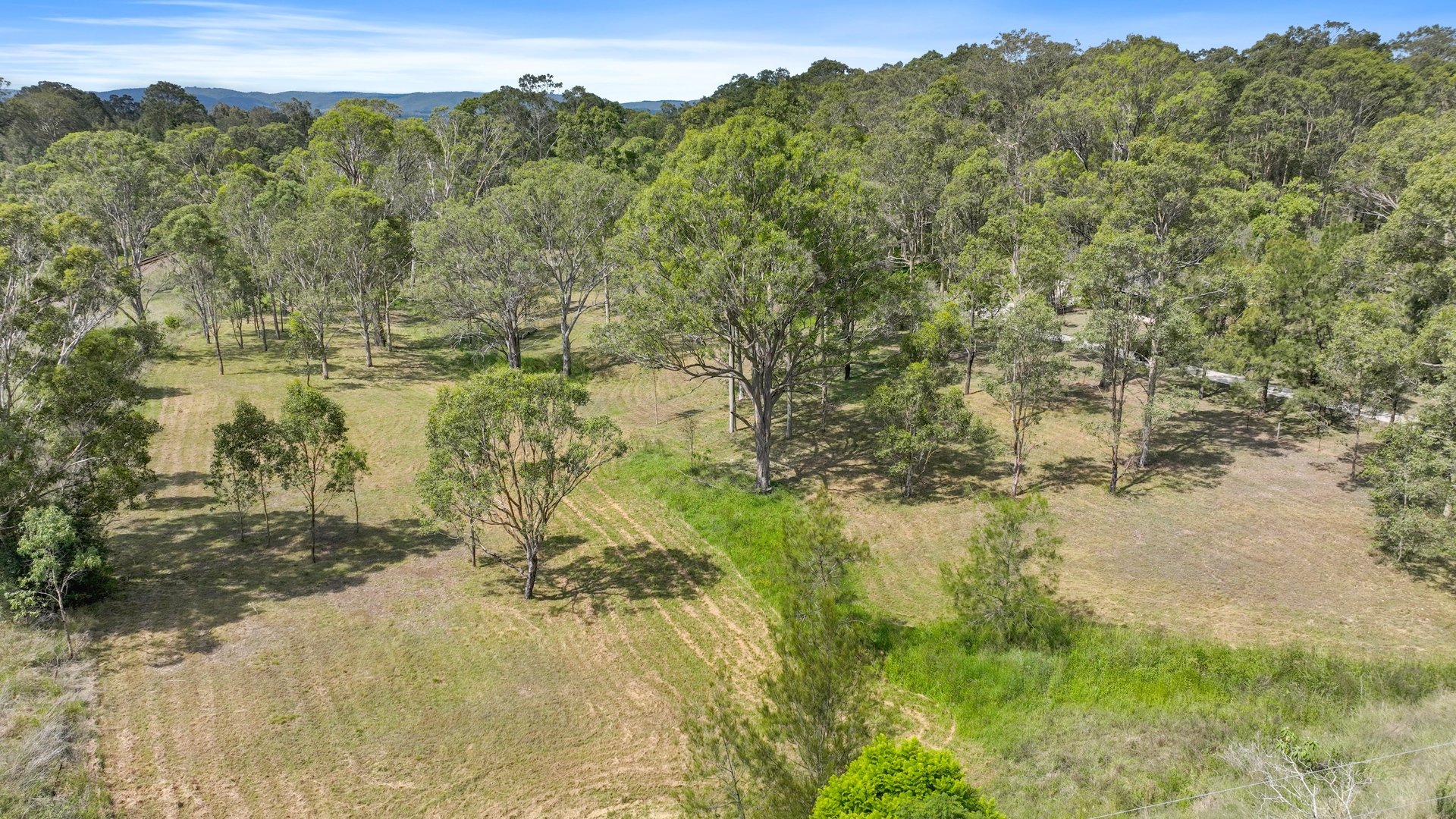 82 Maitland Vale Road, BOLWARRA HEIGHTS Peters Real Estate