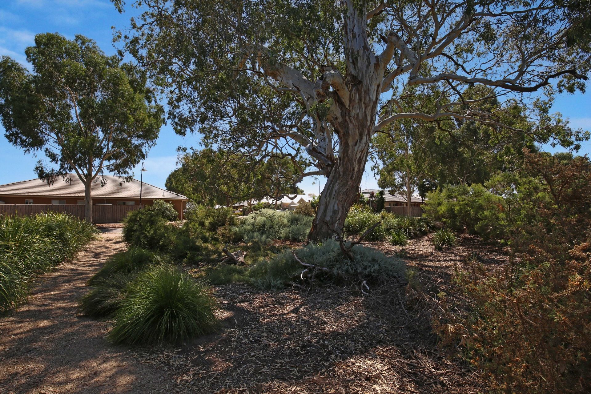 SPACIOUS THREE BEDROOM HOME