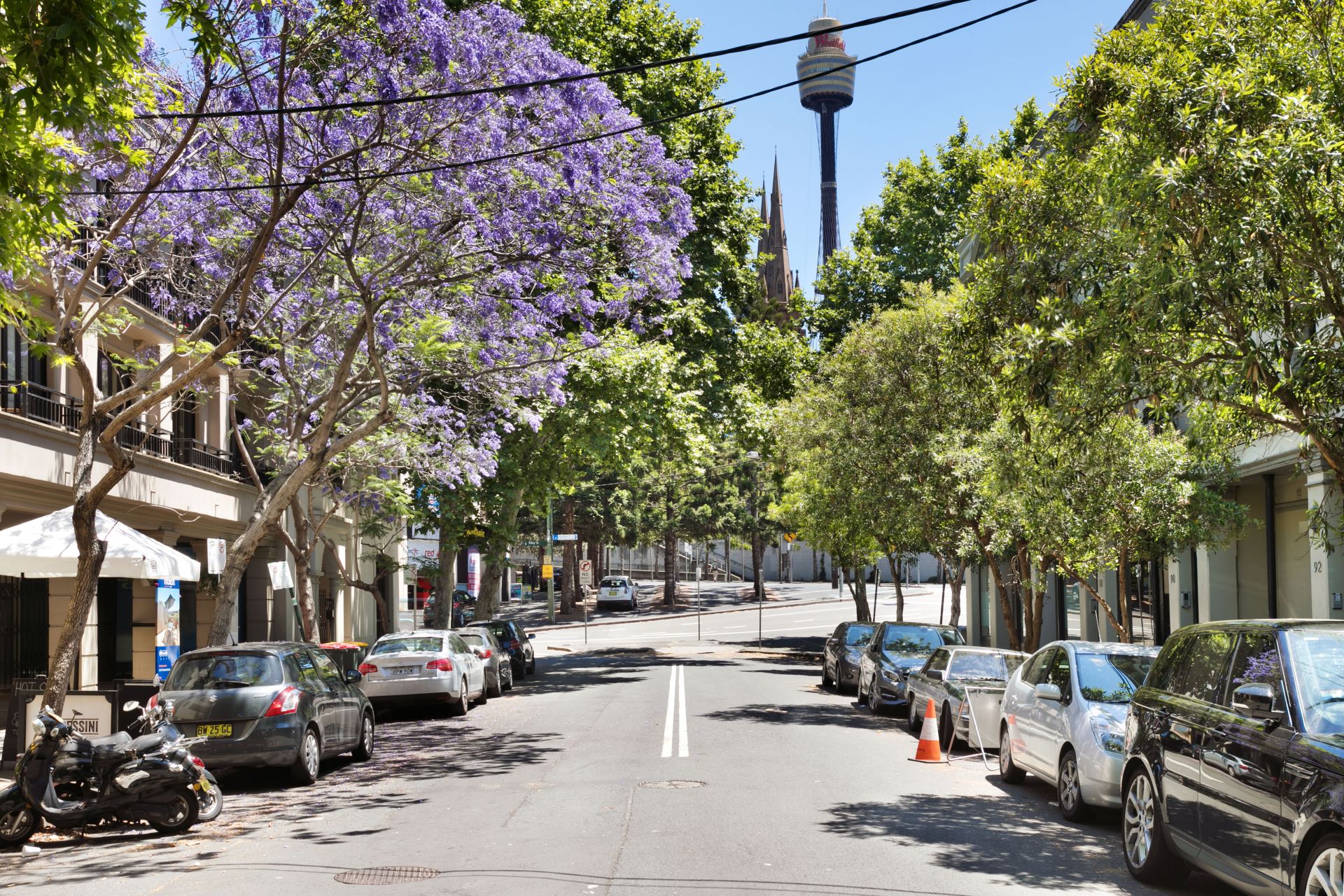 9/103 Cathedral Street Woolloomooloo NSW 2011 Studio for Rent