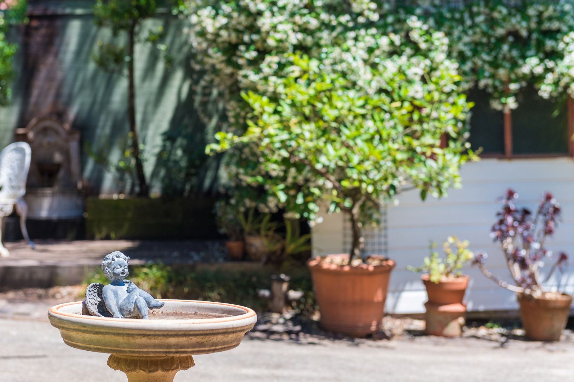 Sold - Tightly Held Federation Home Full of Character and Charm