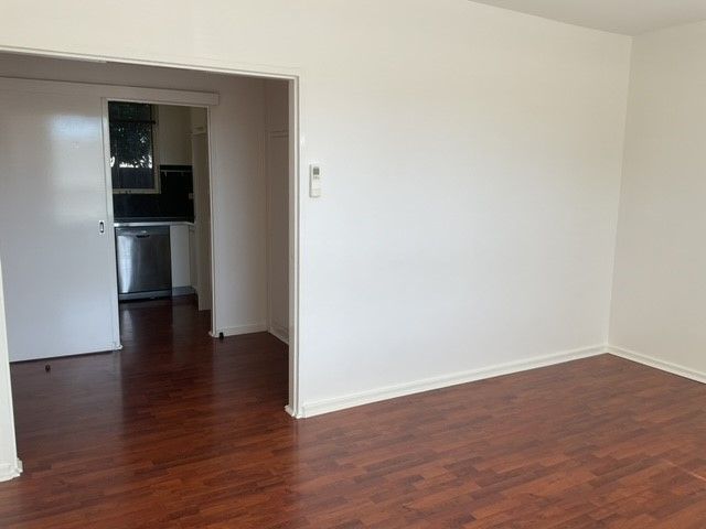 **LIGHT FILLED APARTMENT**