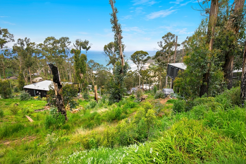 42 Karingal Drive, Wye River, VIC, Wye River - Thumbnail 5