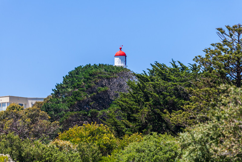 10 Painkalac Court, Aireys Inlet, VIC, Aireys Inlet - Thumbnail 8