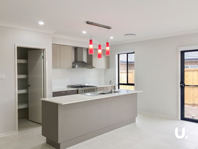 Chisholm 52 Tarragon Way