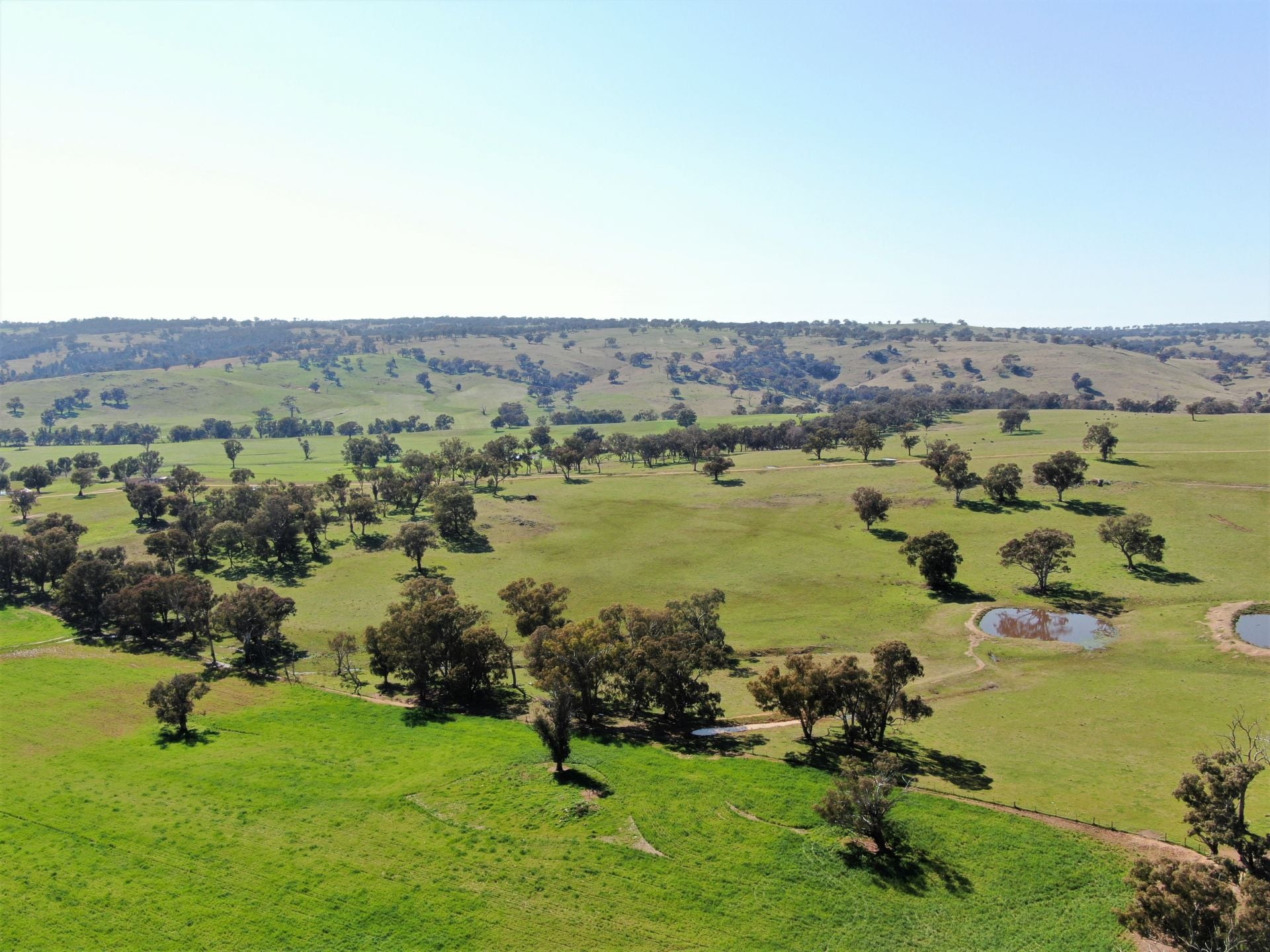 897 Murringo Flats Road, Murringo, Murringo - Thumbnail 7