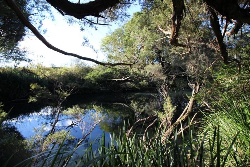 444 Upper Rollands Plains Road, UPPER ROLLANDS PLAINS NSW 2441