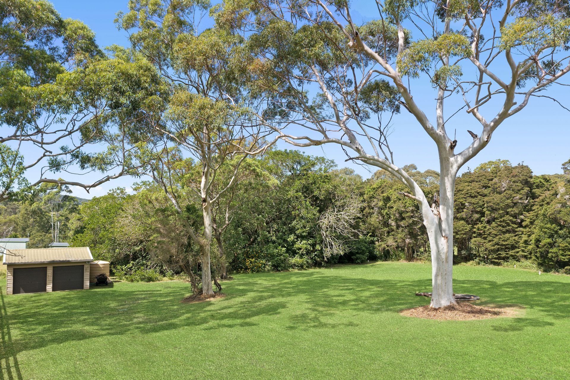 442 Tumbi Road, Wamberal Whiteman Property