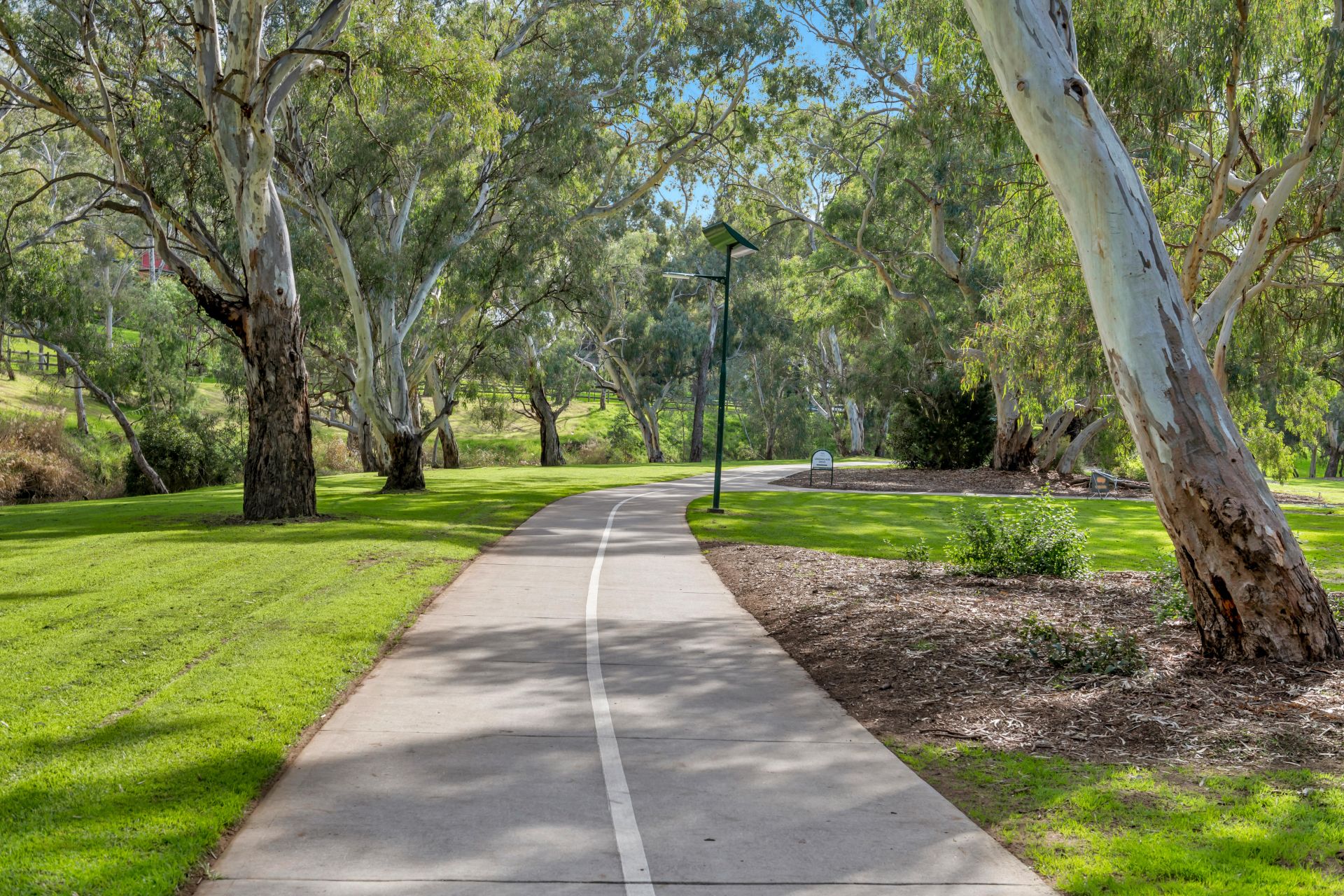 2b Cabarita Avenue, Campbelltown - Thumbnail 7
