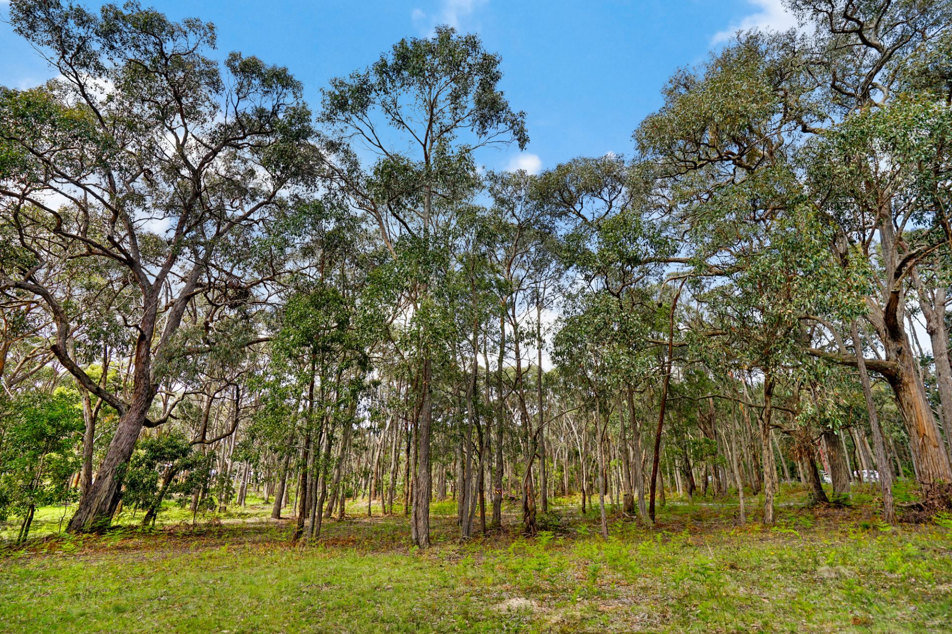 4/ Coates Road, Snake Valley, Snake Valley, Snake Valley - Thumbnail 5