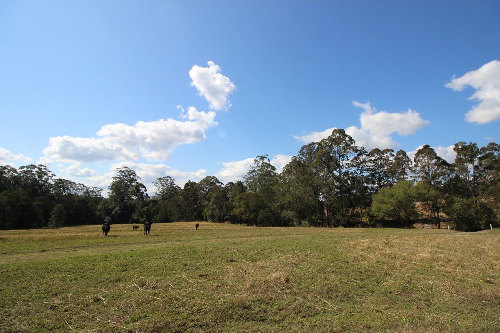 449 Bril Bril Road, ROLLANDS PLAINS NSW 2441