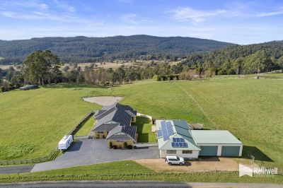 13 Stevensons Road, Lower Barrington, Lower Barrington - Thumbnail 4