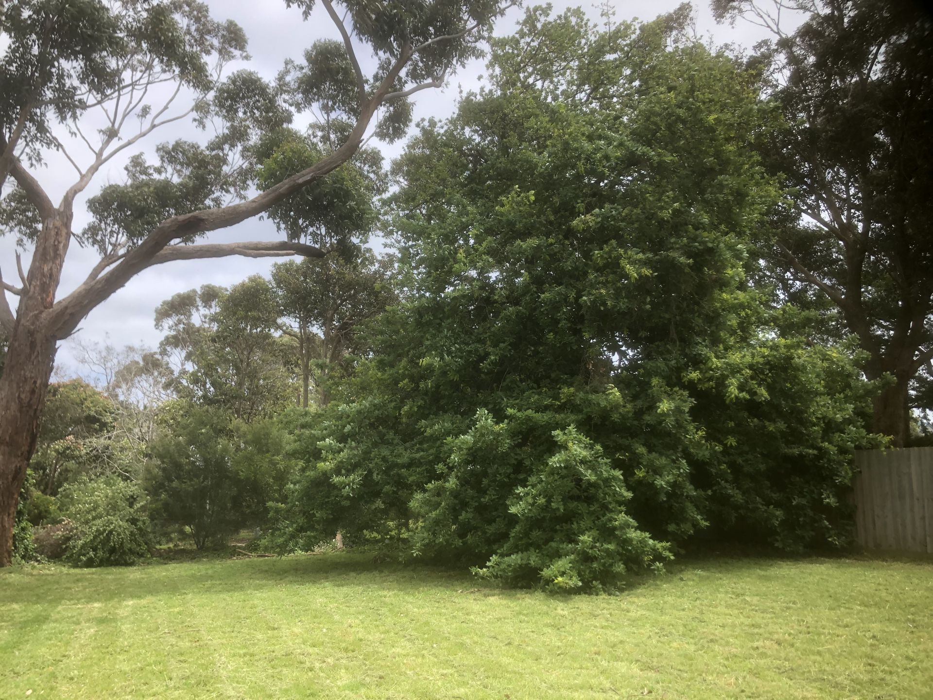 Picturesque Safe Location
