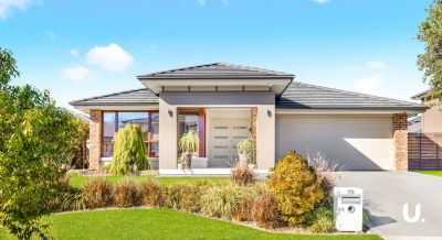 Colebee, 70 Kirkwood Crescent