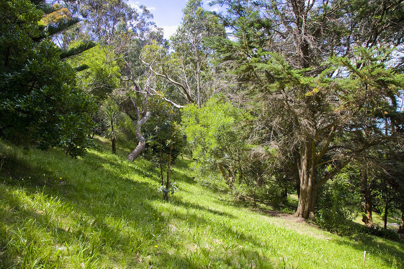 2/3 Great Ocean Road, Wye River, VIC, Wye River - Thumbnail 4